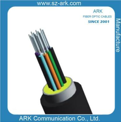 12f Optical Fibre Waterproof Pigtail Cable I Ark