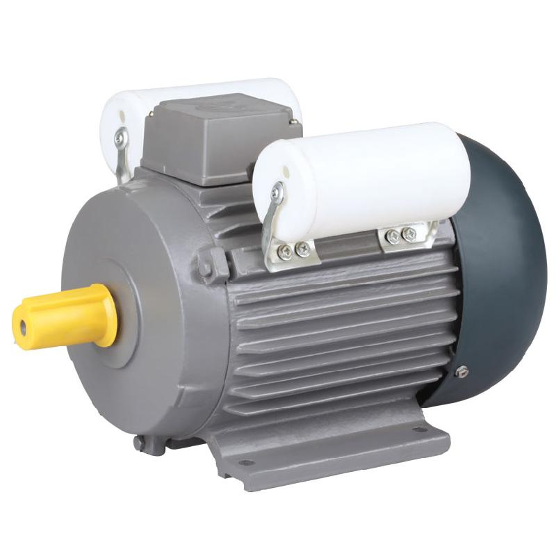 Factory Supply YL Series 3.7kw Two-Value Capacitor Induction Motor