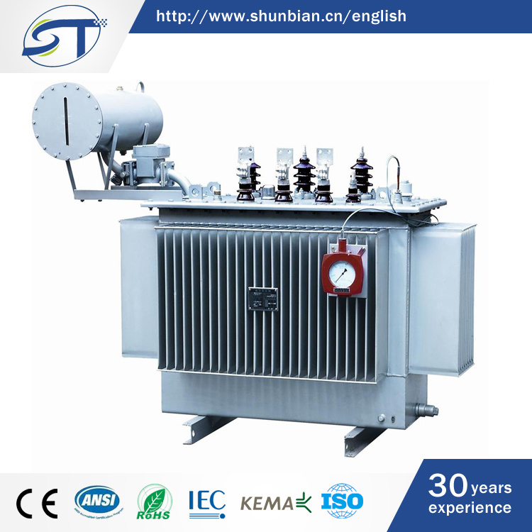 3 Phase Conservator Type Oil-Immersed Power Distribution Transformer