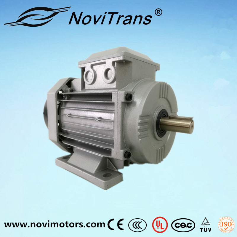 AC Universal High-Efficiency Permanent-Magnet Motor by Langham