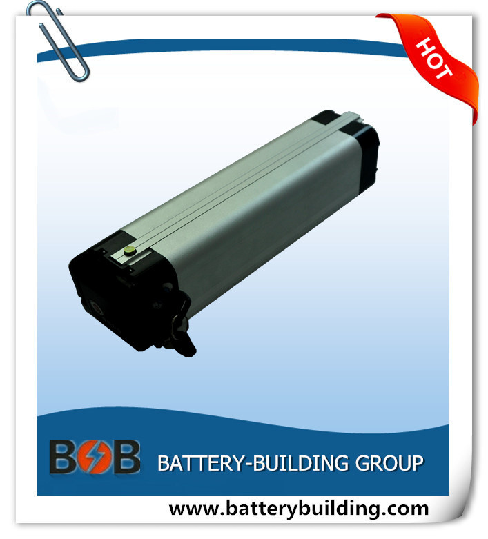 24V 10ah Li-ion Battery Pack in Siver Fish Type