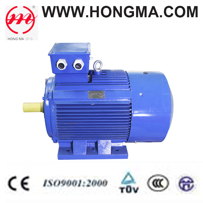 Three Phase Asynchronous Induction High Efficiency Electric Motor (2HMI 315)