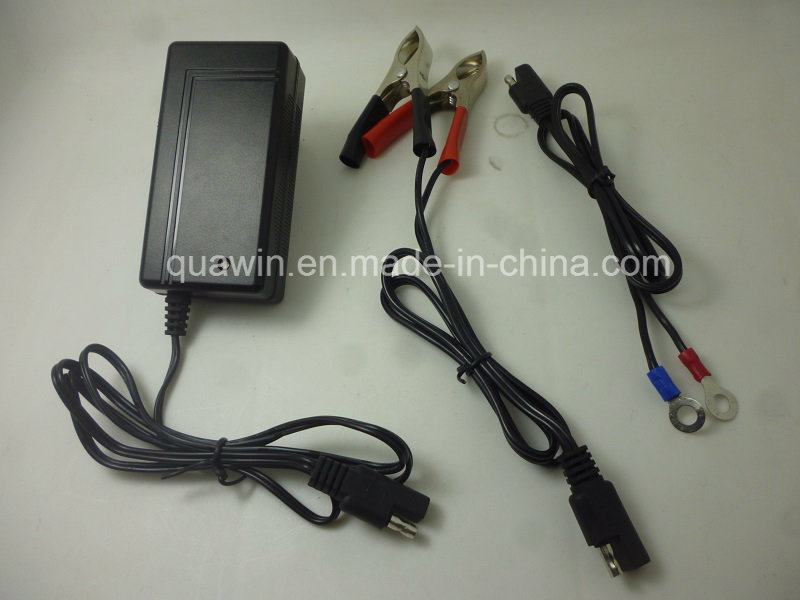 Clamps Connector 12V 2A Lead Acid Wall Charger