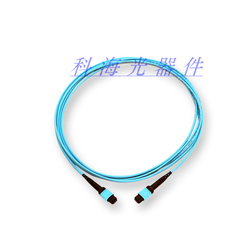 MPO-MPO Fiber Optic Patch Cord for Ian CCTV