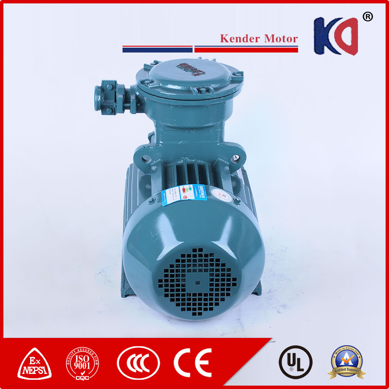 High Quality Multi-Purpose Explosion Proof Phase Motor