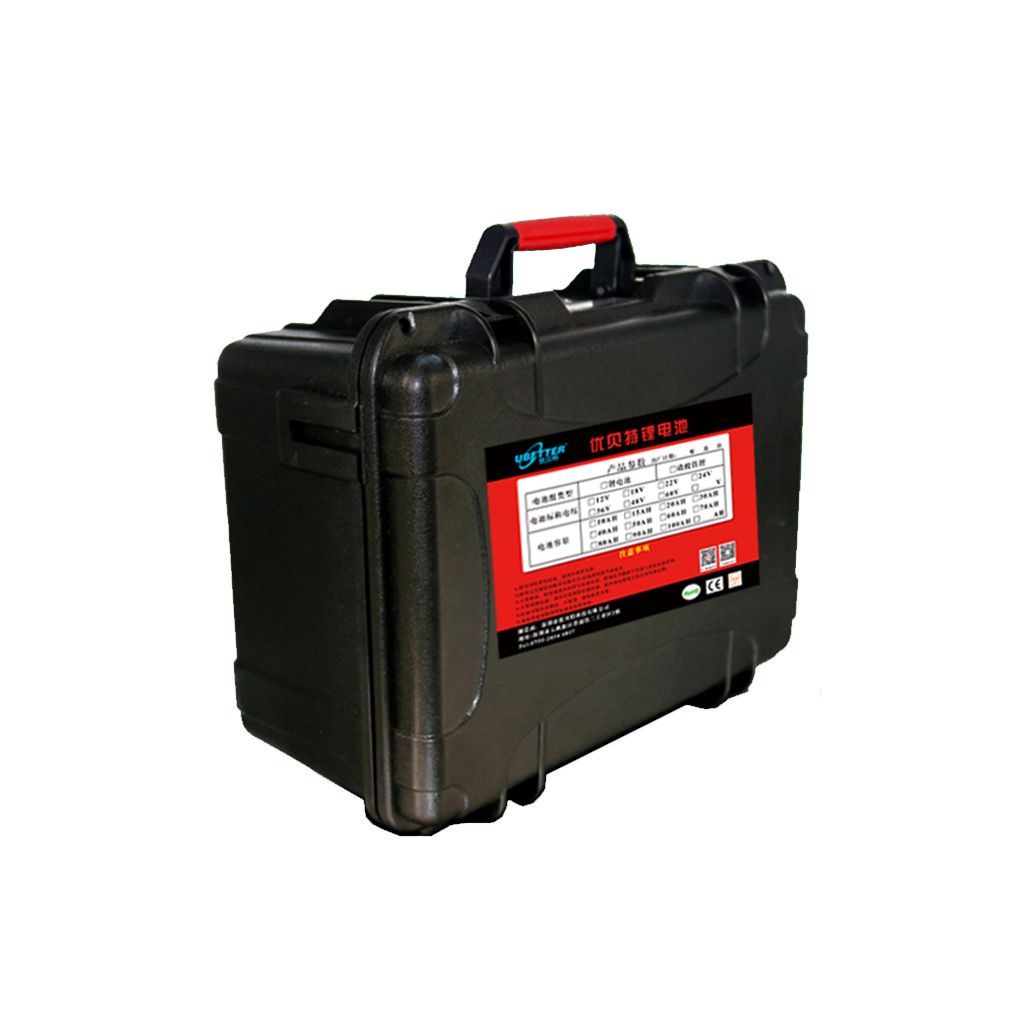 Rechargeable LiFePO4 Battery 12V100ah