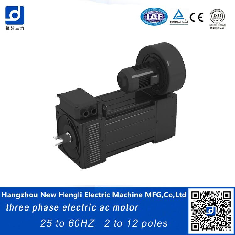 Frequency Variable 380V 60Hz 110kw AC Electrical Motor