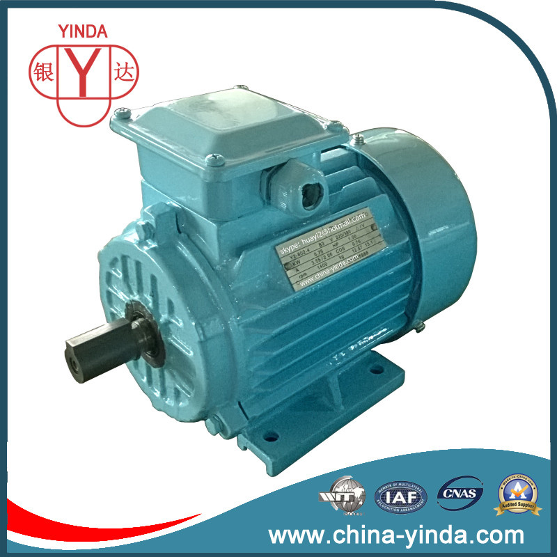 IEC Three-Phase Electric Motor Tefc (IP54) - Cast Iron Frame