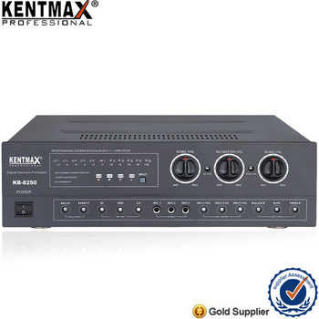 Professiona 250 Watts 2.0 Channel Karaoke Amplifier