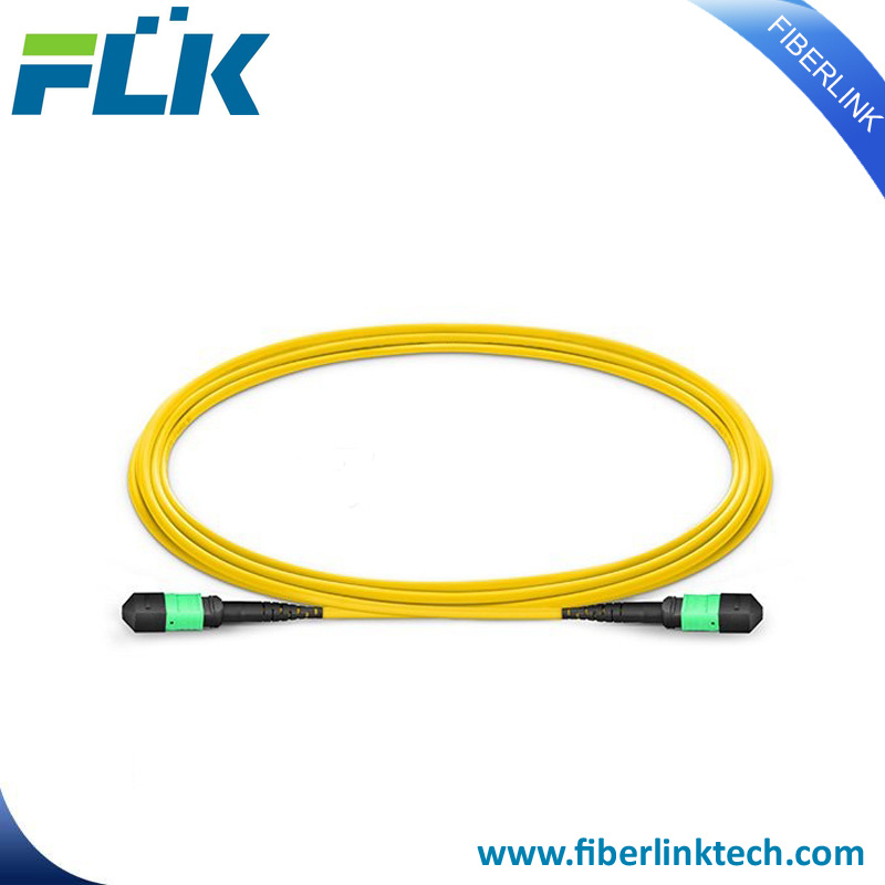 MPO/MTP Sm/Om3/Om4 Fiber Optic Cable Patchcord for FTTH Networking