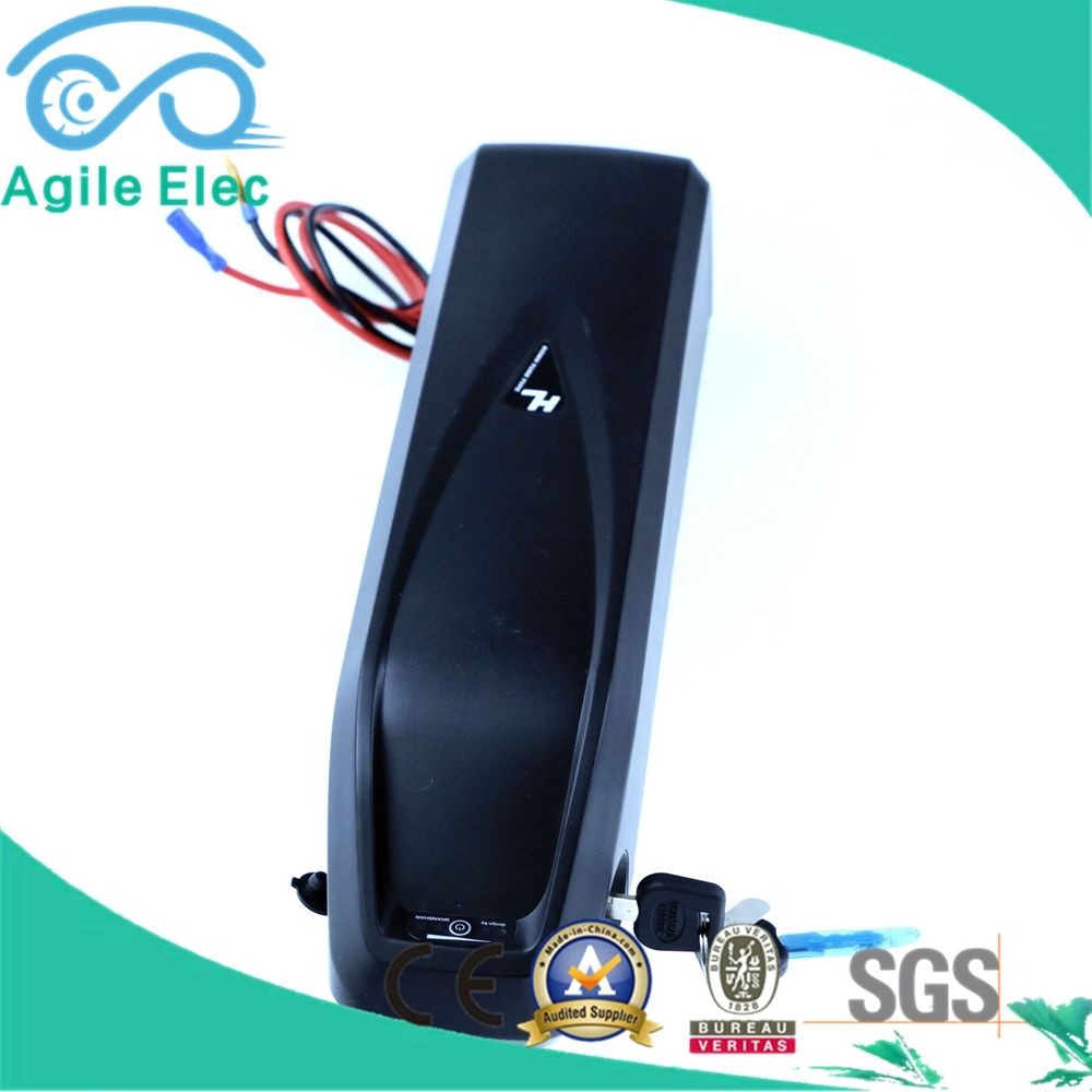 48V 10.4ah Ebike Lithium Ion Battery with Charger