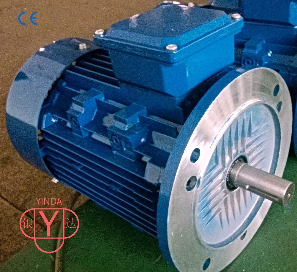 Ms Series Tefc (IP55) Three Phase AC Motor / Electrical Motor