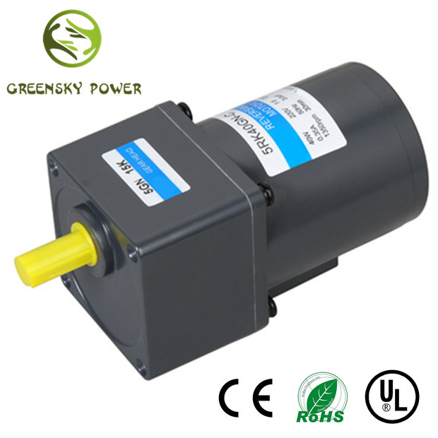 GS High Efficient 110V 120W 90mm AC Induction Motor for Electric Machine