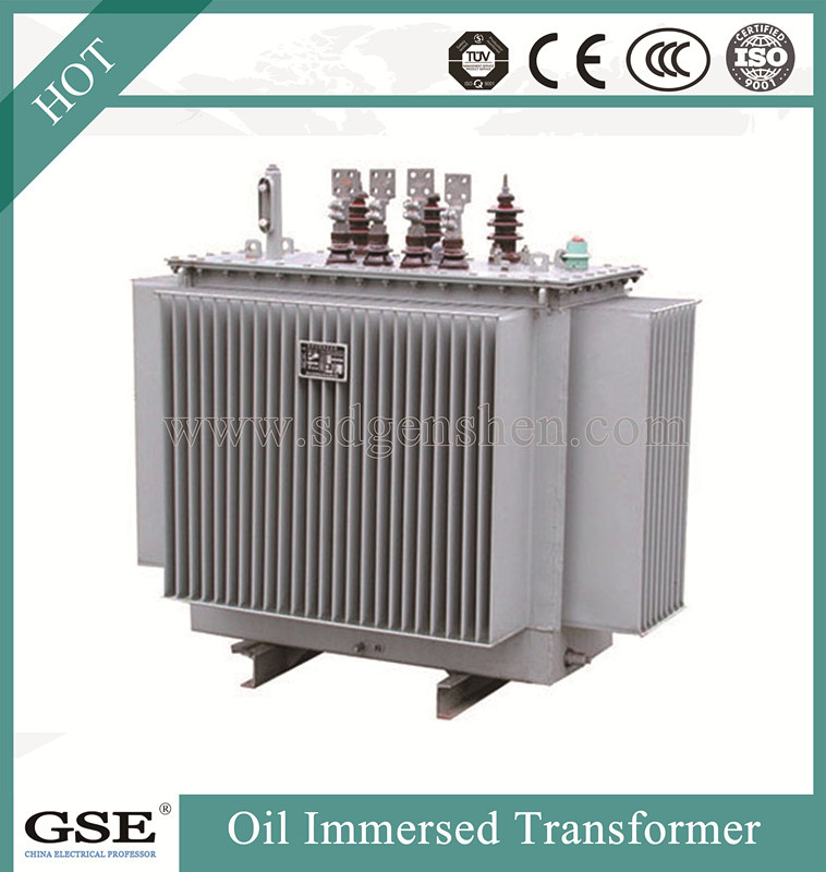 Distribution Transformers Oil Immersed Transformers/Ppower Transformer with TUV Standard