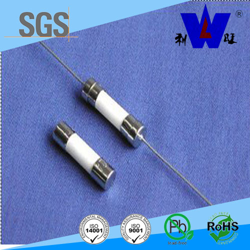 Ceramic Micro Fuse with UL Certificate 1A-5A 250V UL Fuse
