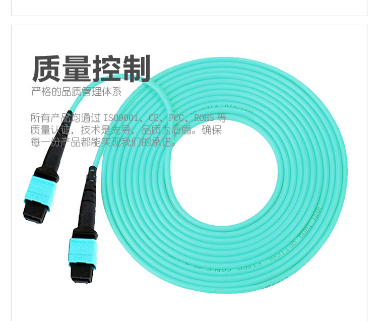 12 Core MPO/MTP Fiber Patch Cord