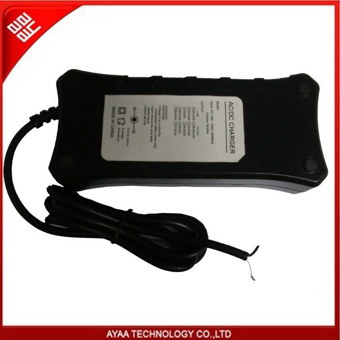 Rechargeable Battery Ebike, Scootor, Rickshow Li-ion Lipo LiFePO4 Battery Charger