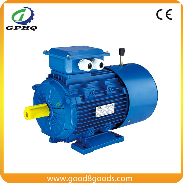 Yej /Y2ej/Msej 1HP Electric AC Motor