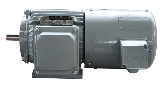 Cast Iron Electric Three Phase Frequency-Variable and Speed-Regulation Induction Motor