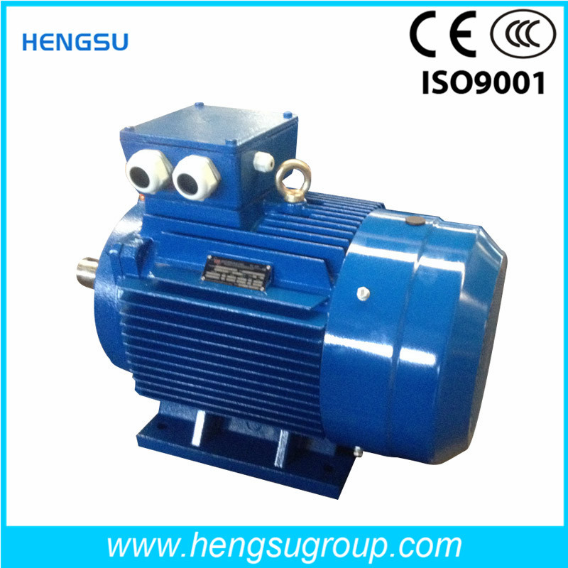 Ye3 3kw Three-Phase Cast Iron Induction Electric Motor