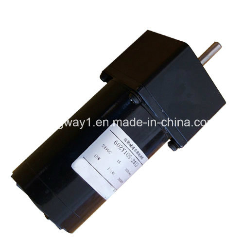 12V PMDC Spur Gear Motor for Equipment