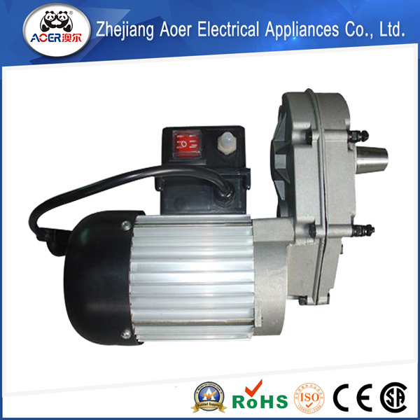 Induction 120 Volt AC Gear Motor Reducer