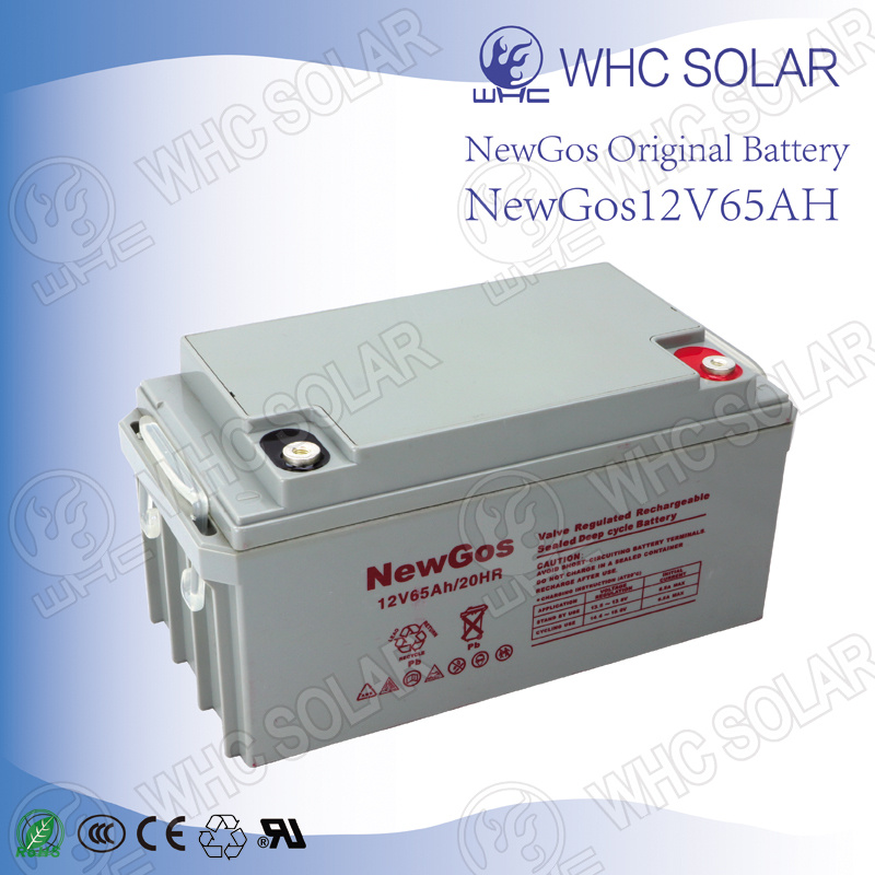Deep Cycle Solar Battery 12V65ah Lead Acid Battery
