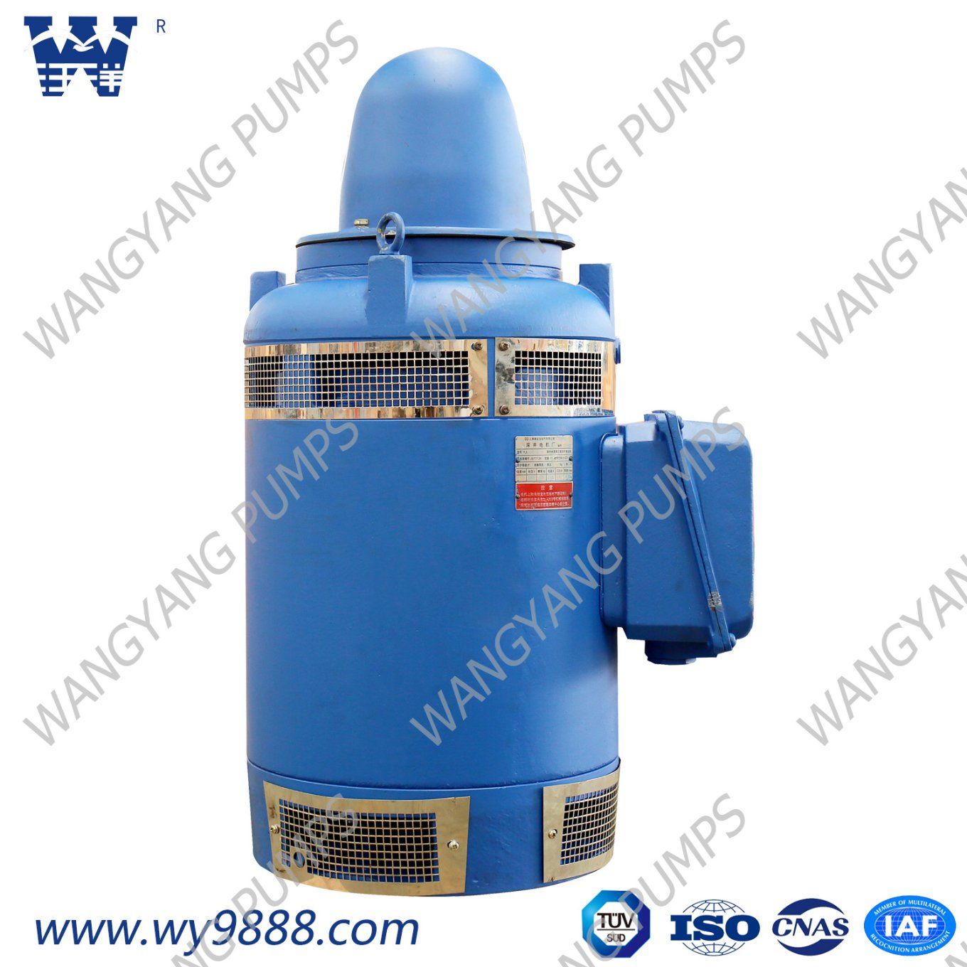 Vhs (IP23) Series Vertical Hollow-Shaft Asynchronous Motor