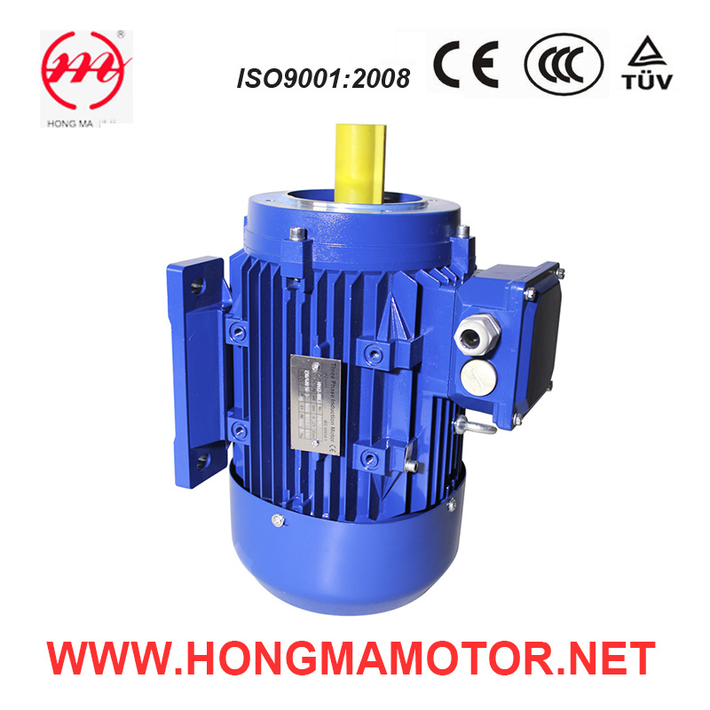 Aluminum Asynchronous Electric AC Motor