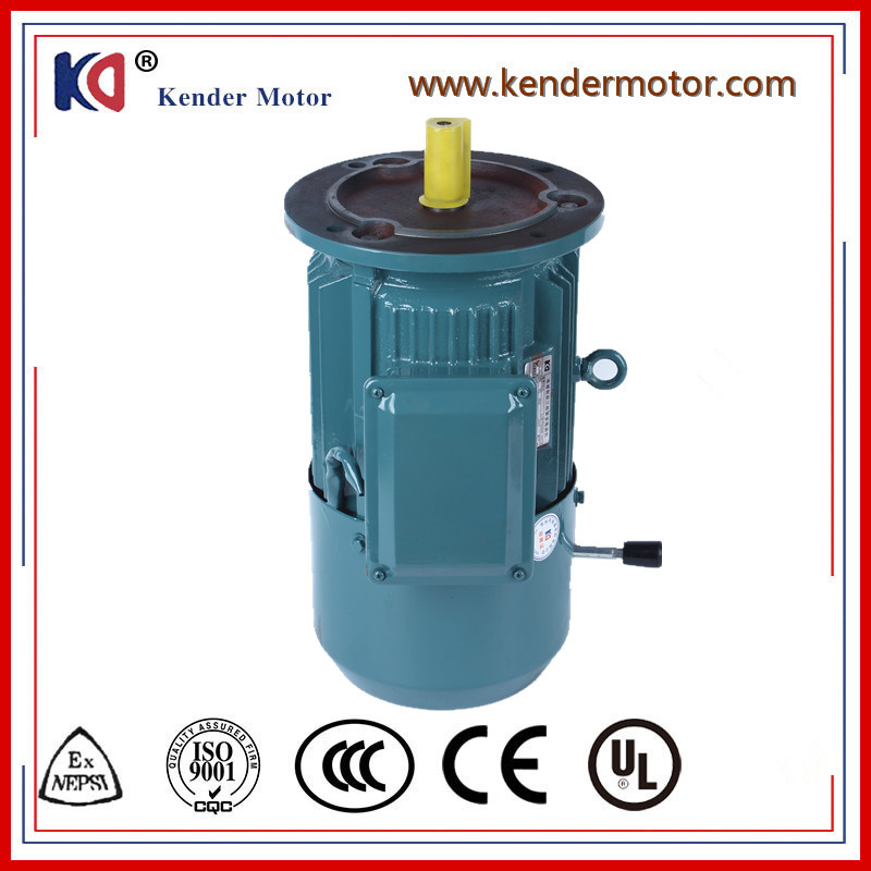 Yej Series Three-Phase Induction Electrical (Electric) Motor for Water Pump