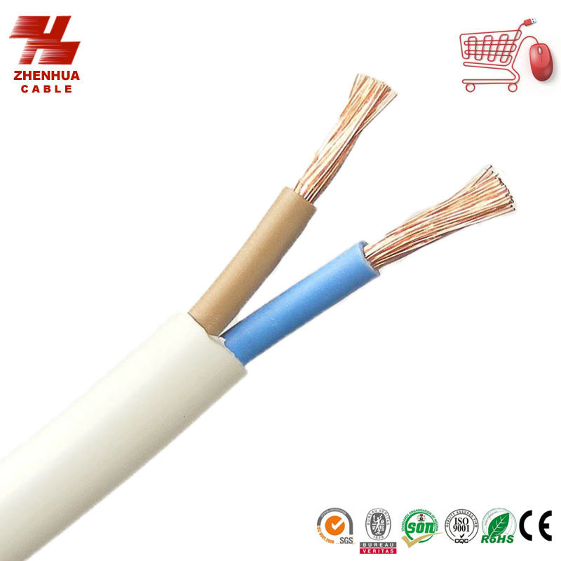 450/750V Bvvr Mutil-Core Flexible Round Electric Wire and Cable