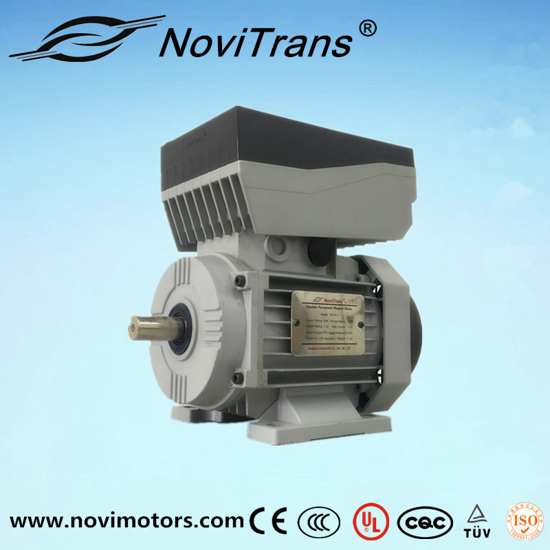 Super Safety Electric Synchronous Servo Motor
