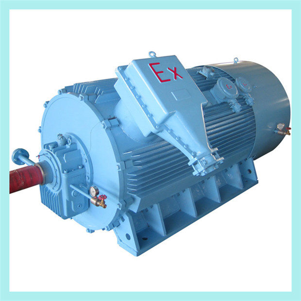Three Phase AC Explosion-Proof Motor