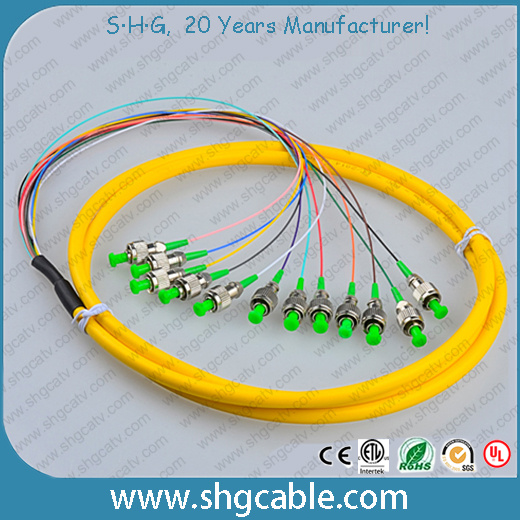12 Core LC/APC-9/125um G652D Sm Bunch Fiber Optical Pigtail