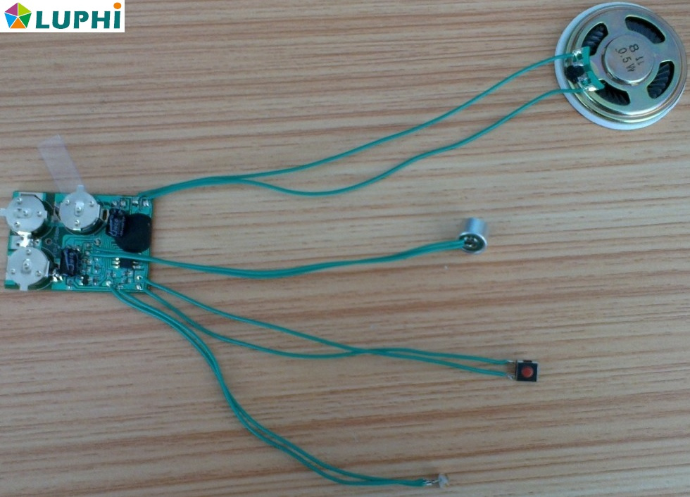Supply Speaker PCB Assembly, PCBA (MIC0577)