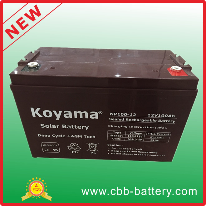 12V 100ah Lead Acid AGM Battery for Telecom, Solar & UPS