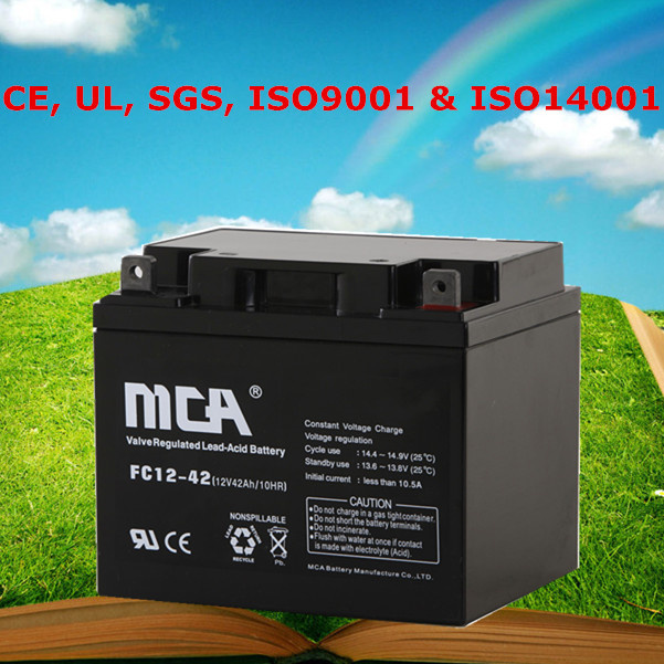 12V Rechargeable Battery Valve Regulated Lead Acid Battery 42ah