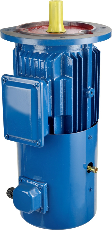 Yej Series Three Phase AC Squirrel-Cage Break Electrical Motor