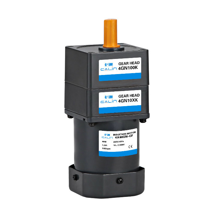 AC Motor Without Gearbox, 4ik25gn-C, 25W, 220V, Induction Motor