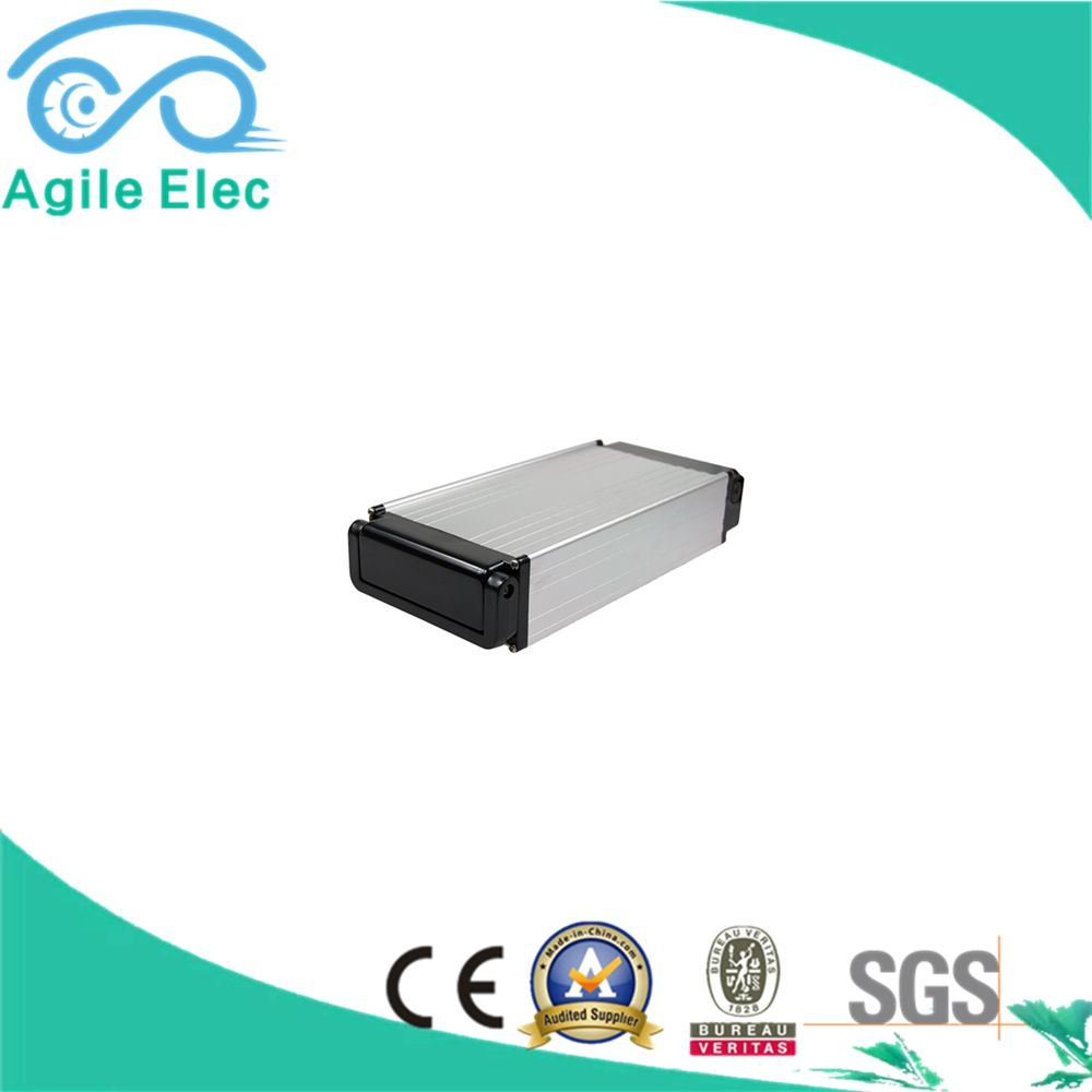 48V 20ah Rear Rack Panasonic Lithium Battery with BMS Protection