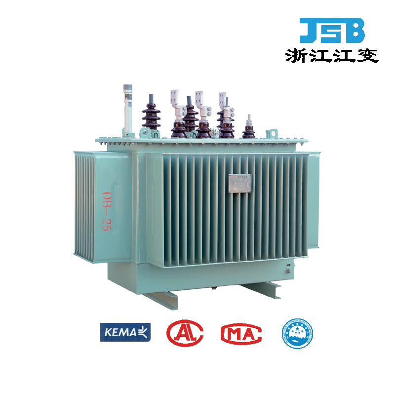 10kv Oil Immersed Three Phase Single Phase Power/Distribution Transformer for Power Substation