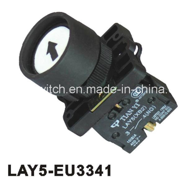 Protection Spring Return Pushbutton Switch