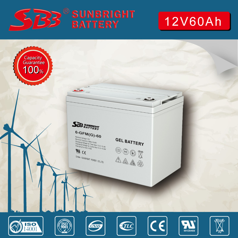 Gel Battery 12V60ah for EPS System