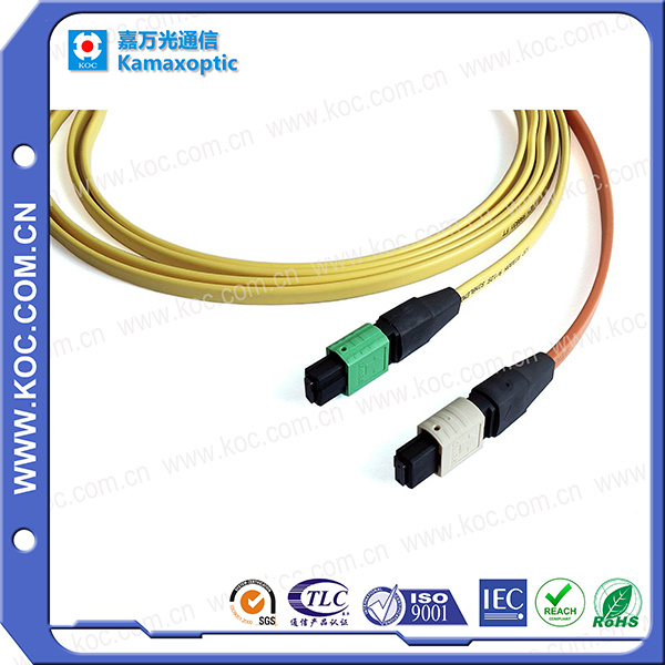 MPO/MTP 12fibers Multimode Fiber Optical Patchcord