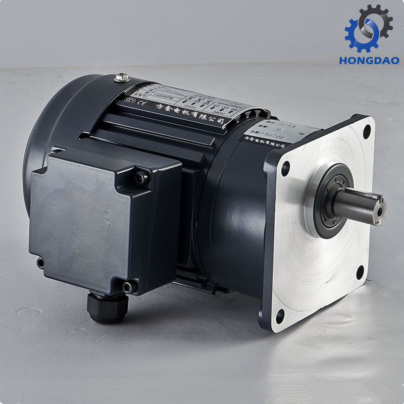 Horizonal Type Single Phase Gear Electric Motor Accept OEM Service -E