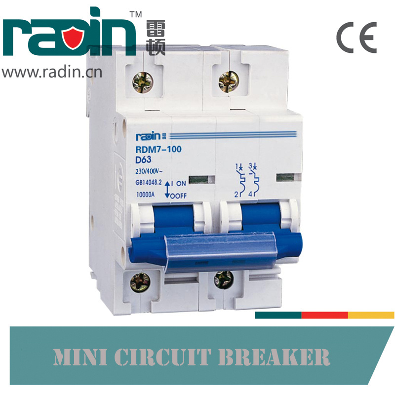 Rdm7-100 Miniature Circuit Breaker MCB 100A