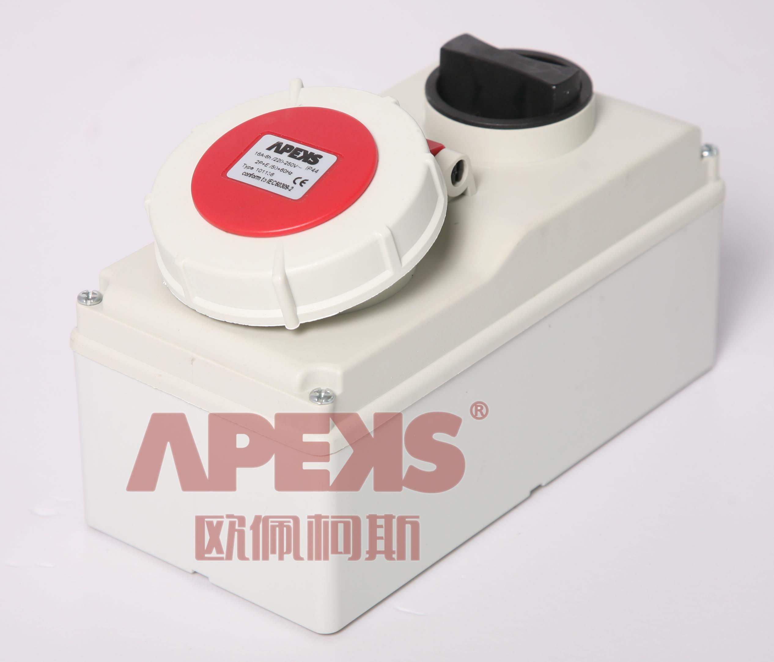 IP67 Interlocked Switch Socket (Wall Mounted)