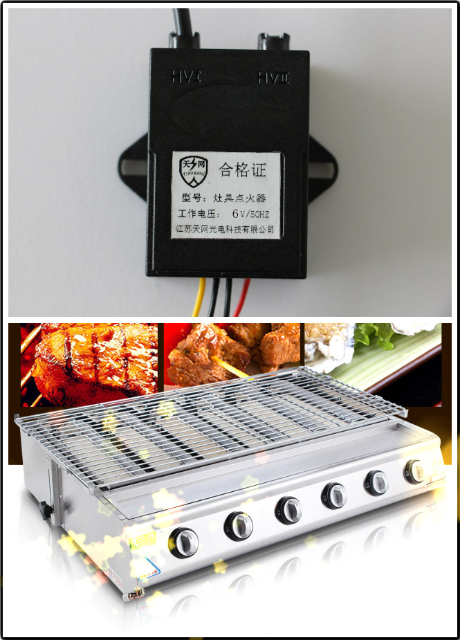 6V Electronic Gas Igniter