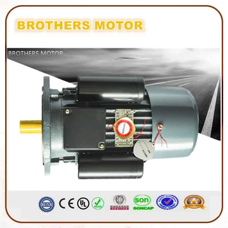 Tops Y Y2 Yc Ycl Series Small AC Electric Motor Single/Three Phase