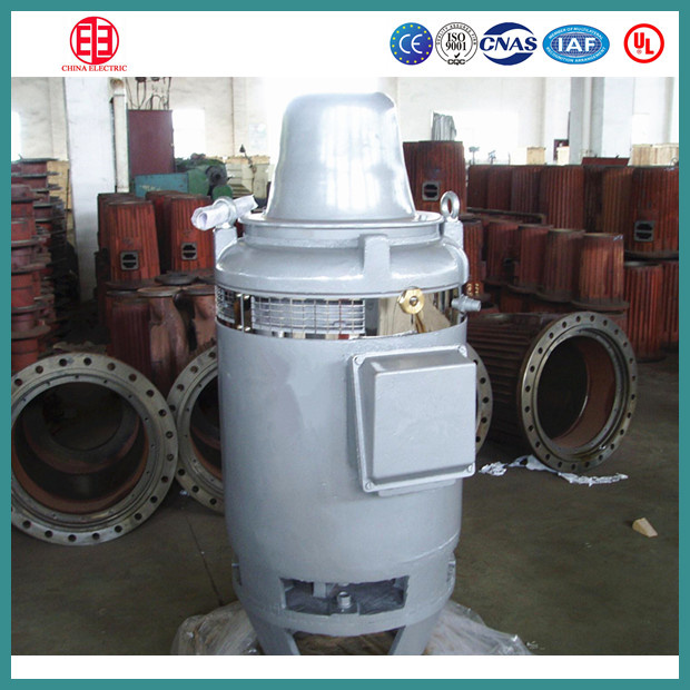 IEC Standard Vertical Hollow Shaft Vhs Pump Motor